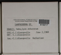 Image Associated With the Occurence